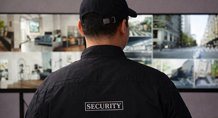 GUARDS_MANPOWER